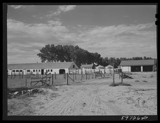 Dairy barn. Cooperative enterprise, at Scottsbluff Homesteads, FSA (Farm Security Administration) project. Scottsbluff, Nebraska