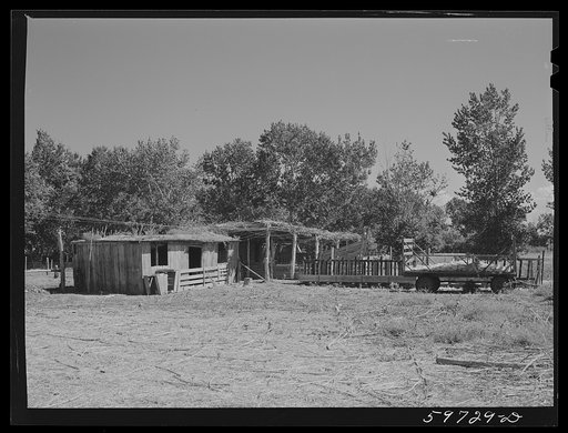 Buildings on A.E. Scott's farm northeast of Scottsbluff, Nebraska (see general caption number one)