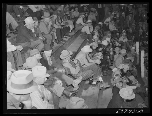 Auction at Union Livestock Commission Company, Gering, Nebraska