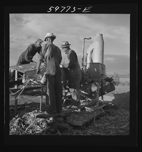 Untitled photo, possibly related to: Filling the trench silo on Scottsbluff Farmsteads, FSA (Farm Security Administration) project. Scottsbluff, Nebraska