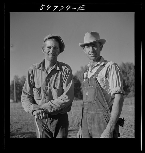 Bean threshers. North Platte River Valley, Nebraska