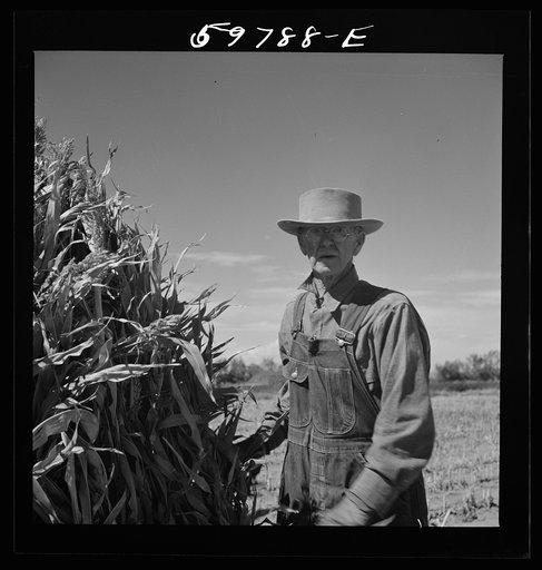 Untitled photo, possibly related to: A.E. Scott on his farm northeast of Scottsbluff, Nebraska. See general caption number one