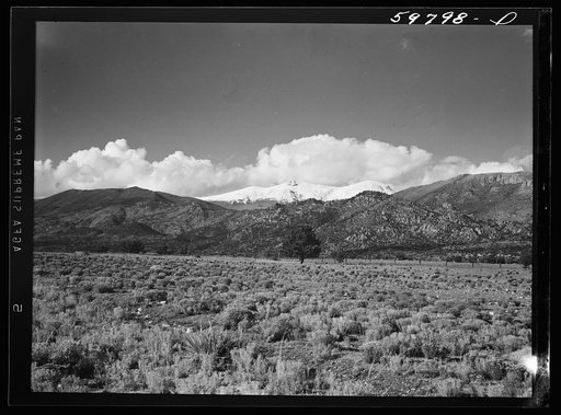 Snow-capped mountain near Buena Vista, Colorado