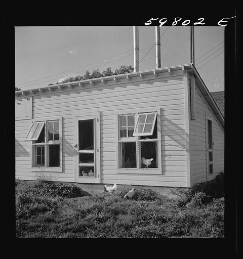 Henhouse of poultry enterprise. Two Rivers Non-Stock Cooperative Association, a FSA (Farm Security Administration) project. Waterloo, Nebraska