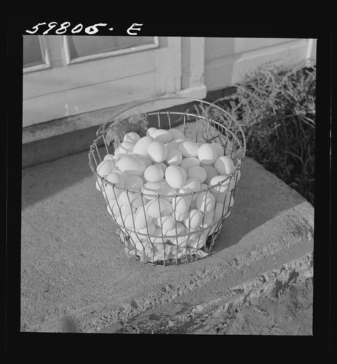 Eggs produced by poultry enterprise of Two Rivers Non-Stock Cooperative Association, a FSA (Farm Security Administration) project. Waterloo, Nebraska