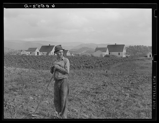 Tygart Valley Homesteads, West Virginia