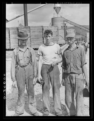Workers in the dimension wood plant at Tygart Valley Homesteads, West Virginia