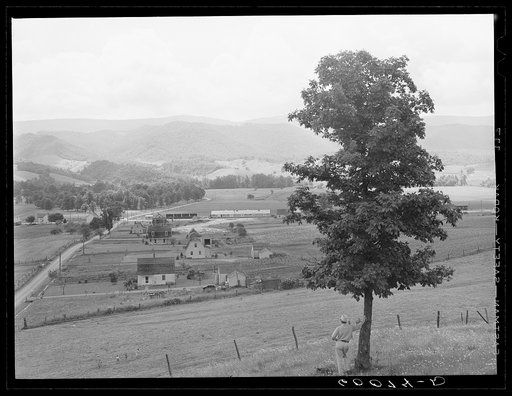 Tygart Valley Homesteads, West Virginia
