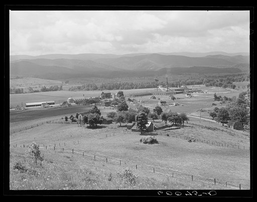 Tygart Valley Homesteads, West Virginia