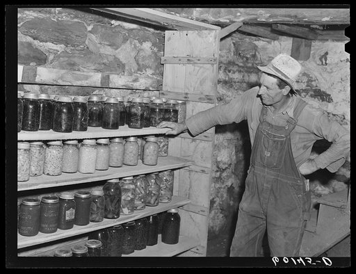 FSA (Farm Security Administration) rehabilitation borrower looking over his wife's supply of homegrown, home-canned produce. Jackson County, Wisconsin