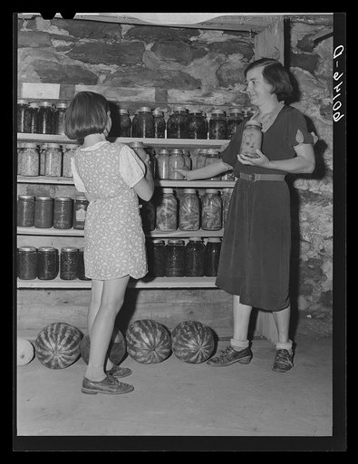 Wife and daughter of FSA (Farm Security Administration) rehabilitation client. Jackson County, Wisconsin