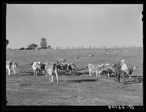 Untitled photo, possibly related to: FSA (Farm Security Administration) rehabilitation borrower. Grant County, Wisconsin