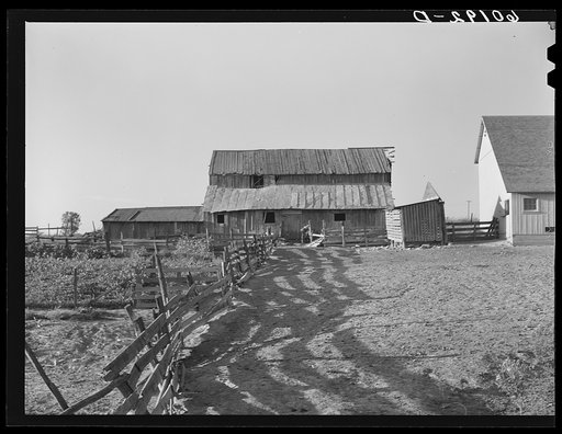 Old barn of FSA (Farm Security Administration) client, new barn on right. Grant County, Wisconsin