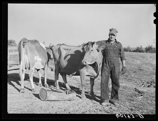Untitled photo, possibly related to: FSA (Farm Security Administration) rehabilitation borrower. Grant County, Wisconsin