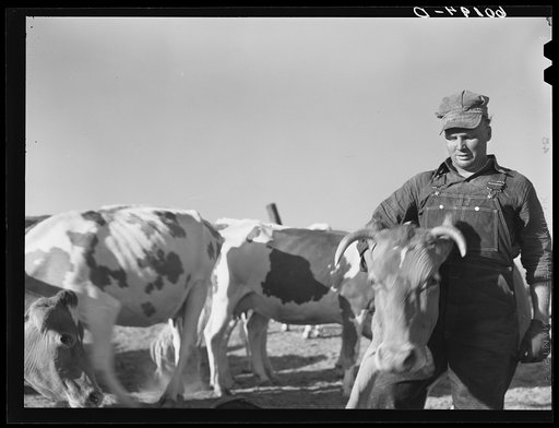 Untitled photo, possibly related to: FSA (Farm Security Administration) rehabilitation borrower. Grant County, Wisconsin
