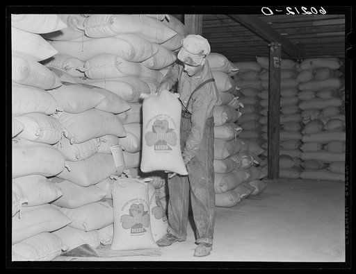 Seed stored at cooperative seed exchange. Williams, Minnesota