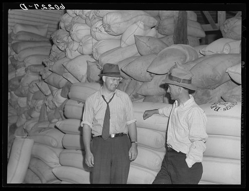 Manager of Border King co-op seed exchange talking with assistant. Williams, Minnesota
