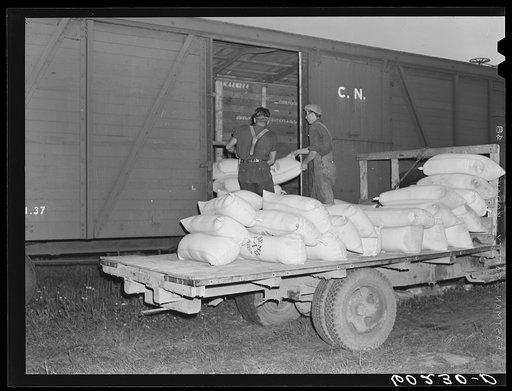 Loading freight car with seed for shipment to Canada cooperative seed exchange. Williams, Minnesota. This co-op was financed through a FSA (Farm Security Administration) loan which has been paid off