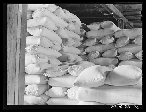Bags of seed at Border King co-op seed exchange. Williams, Minnesota. This co-op was financed with a FSA (Farm Security Administration) loan which has been paid off