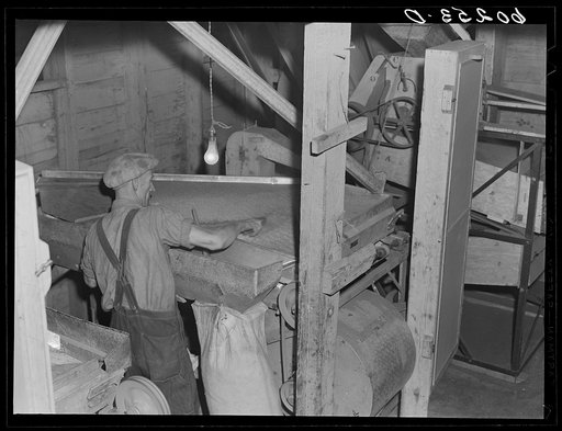 Cleaning seed. Border King Cooperative Seed Exchange. Williams, Minnesota