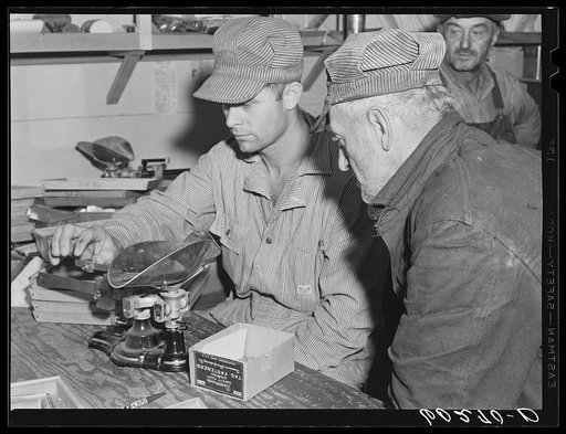 Grading seed which farmer has brought to office of Border King co-op seed exchange at Williams, Minnesota. This test is to ascertain purity and quality of seed before the price is set on it