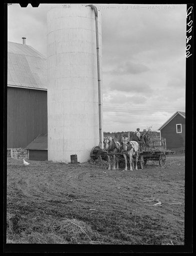 Filling silo. Chippewa County, Wisconsin