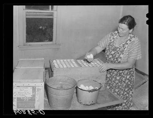 Rehabilitation borrower packing crate of eggs which will be shipped to Chicago. Chippewa County, Wisconsin