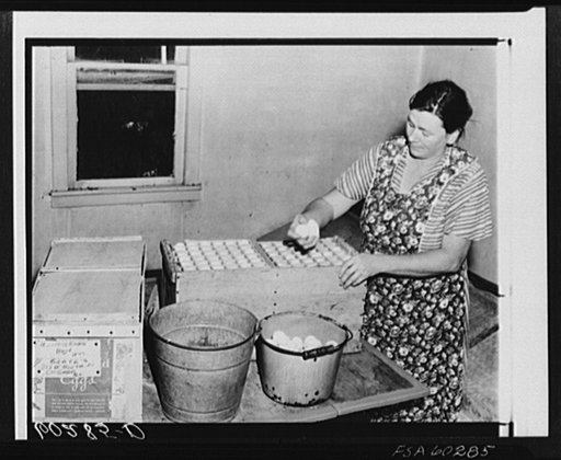 Rehabilitation borrower packing crate of eggs which will be shipped to Chicago. Chippewa County, Wisconsin