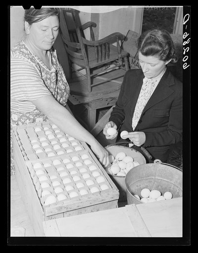 FSA (Farm Security Administration) home supervisor with wife of rehabilitation borrower. Chippewa County, Wisconsin