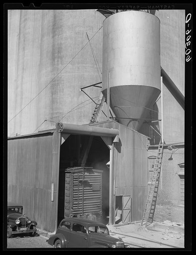 Carload of wheat unloading at grain elevator. Minneapolis, Minnesota