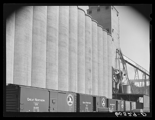 Freight cars unloading wheat at grain elevator. Minneapolis, Minnesota