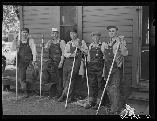 Grain samplers, Minnesota Grain Inspection Department. Minneapolis, Minnesota. A sampler may eventually became a licensed grain inspector, of which there are only about 400 in the country