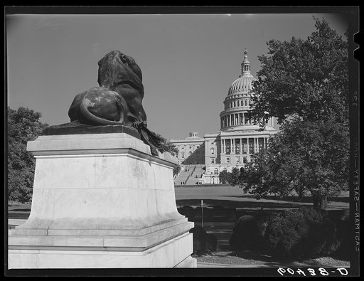 Untitled photo, possibly related to: Lion at General Grant's monument. Washington, D.C.