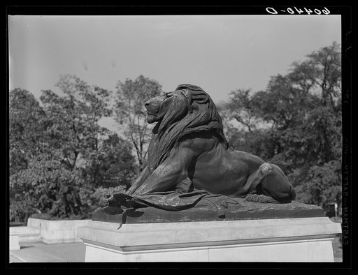 Lion at General Grant's monument. Washington, D.C.