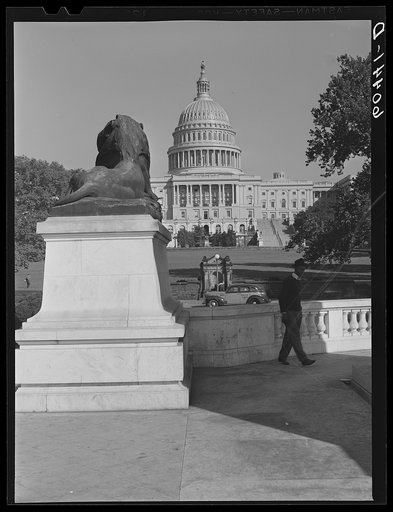 View of U.S. Capitol and lion at General Grant's monument. Washington, D.C.