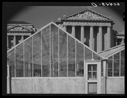 Department of Labor. Washington, D.C.