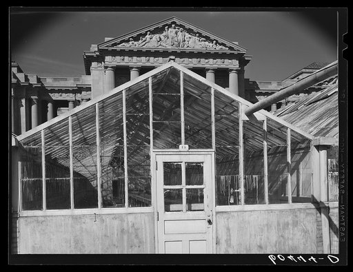 Untitled photo, possibly related to: Department of Labor. Washington, D.C.