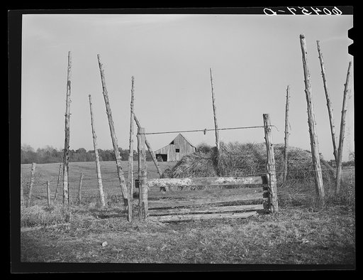 Farm scene. Louisa County, Virginia