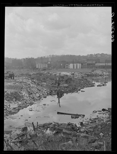 Untitled photo, possibly related to: Unloading garbage at city dump. Dubuque, Iowa
