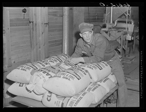 Untitled photo, possibly related to: Machine for testing plates used in corn planter in office of hybrid seed corn plant. Conrad, Iowa