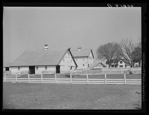 Barns on corn and hog farm. Grundy County, Iowa
