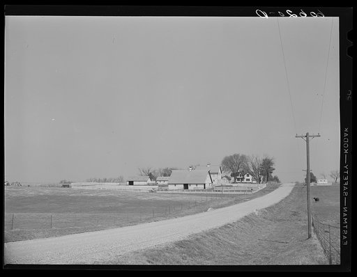 Corn and hog farm along country road. Grundy County, Iowa