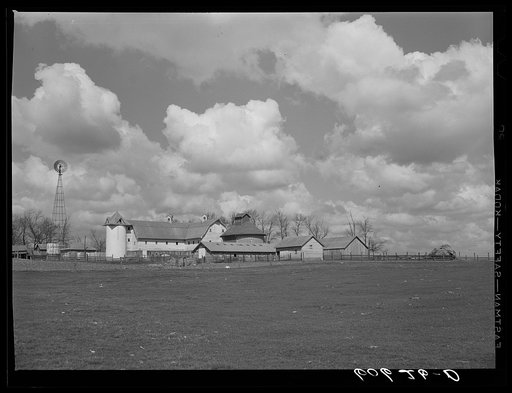 Farm buildings. Grundy County, Iowa. The field in the foreground was the scene of the national cornhusking contest in 1932
