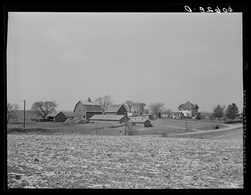 Farm. Grundy County, Iowa