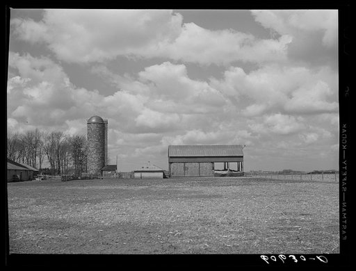 Silo and corn crib. Grundy County, Iowa