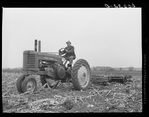 Breaking up corn stalks before plowing. Grundy County, Iowa