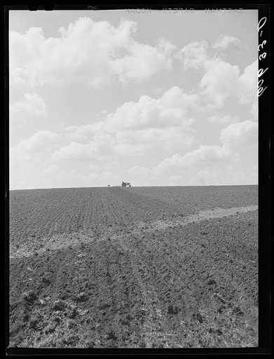 Collie dog follows farm boy on tractor back and forth all day. Grundy County, Iowa