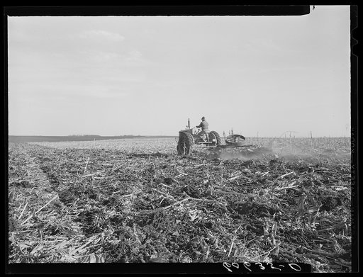 Untitled photo, possibly related to: Breaking up corn stalks before plowing. Grundy County, Iowa