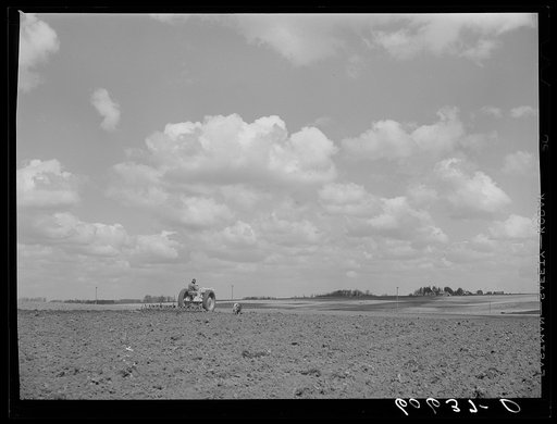 Using spring tooth harrow. Grundy County, Iowa