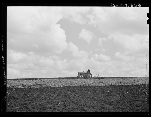 Untitled photo, possibly related to: Discing cornstalks. Grundy County, Iowa